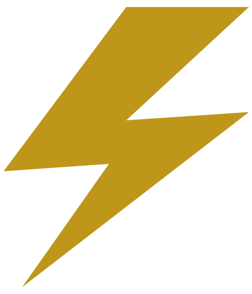 flash icon
